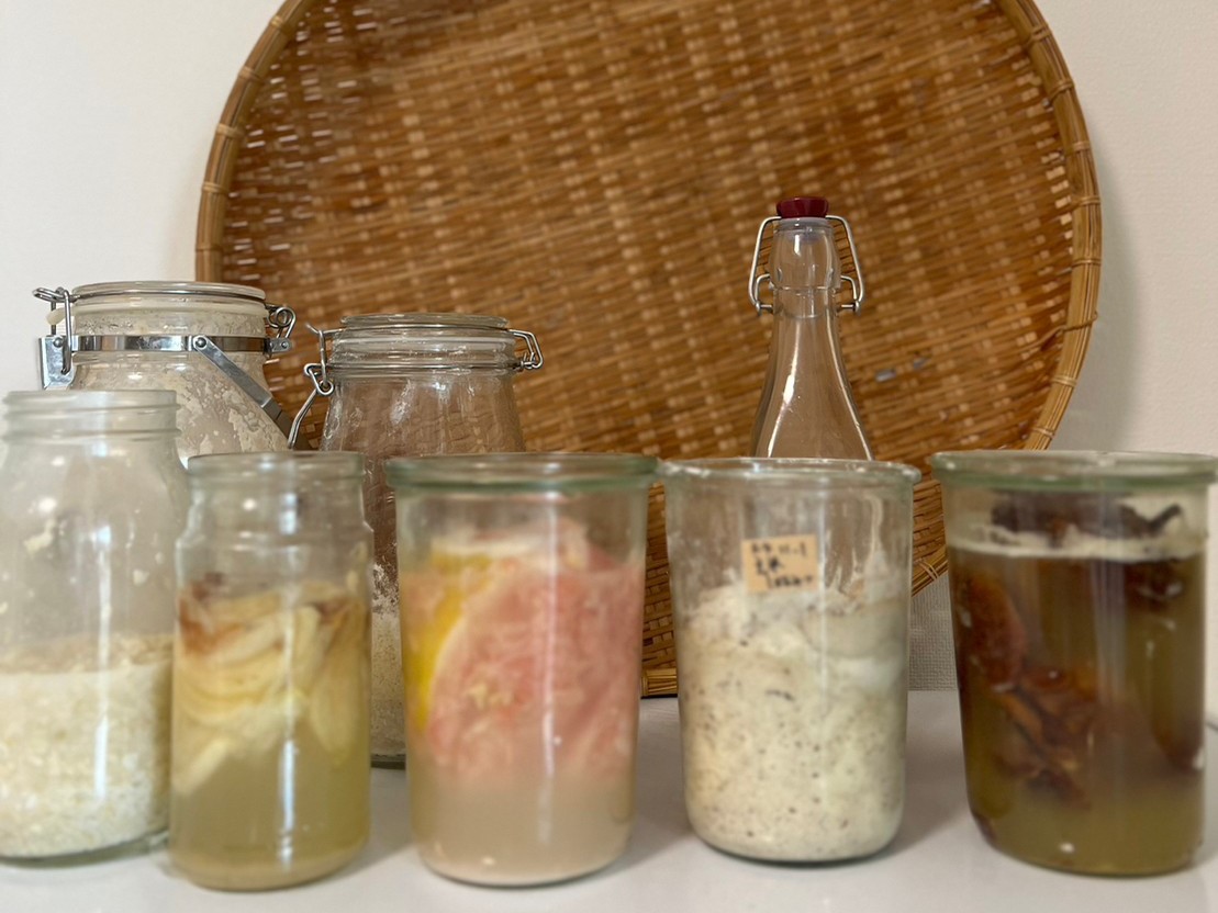 自家製天然酵母の画像